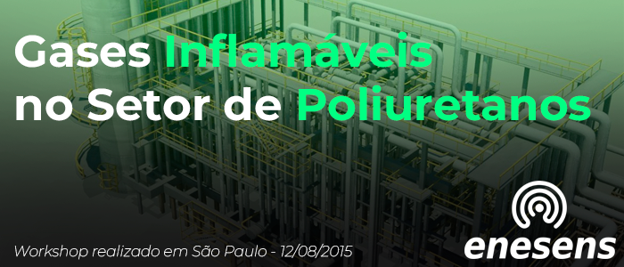 Imagem do post Gases Inflamáveis: Segurança e Soluções no Setor PU - Workshop Enesens