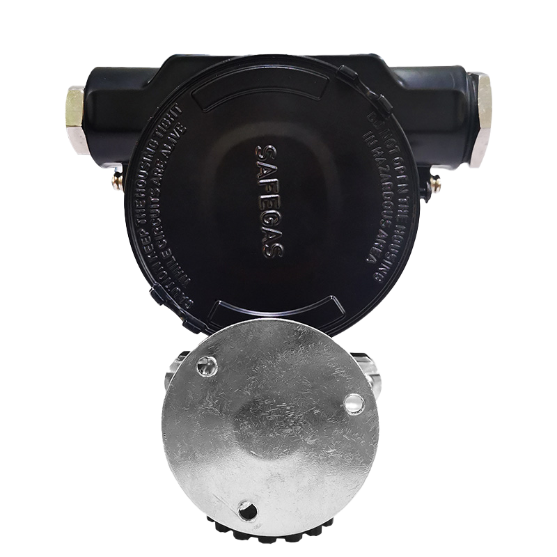 Recursos do SG100-CH4 ONLINE GAS DETECTOR